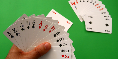 A person is holding playing cards in their hand for a game of Bridge