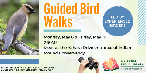 Join Shawn Miller and Heidi Cox on a Guided Bird Walk!  The walks will take place on Monday, May 6 and Friday, May 10, from 7-9 AM, starting at the Yahara Drive entrance of the Indian Mound Conservancy.  Registration is required and will be available on April 22.