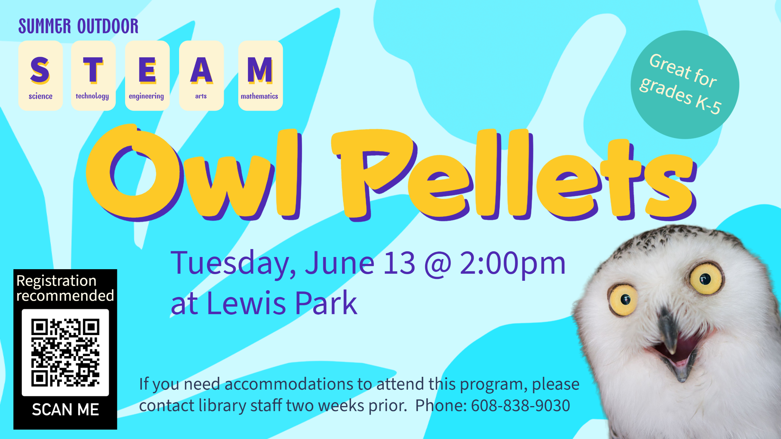 Summer STEAM: Owl Pellets  E.D. Locke Public Library