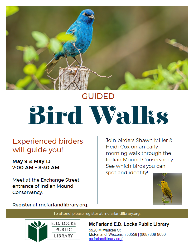 guided bird walk flyer