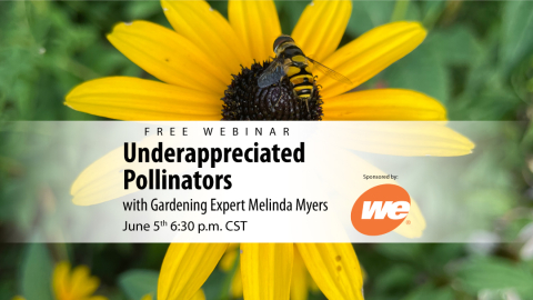 Gardening Expert Melinda Myers is offering a FREE webinar on "Underappreciated Pollinators" on June 5th at 6:30 PM.  You must register for this webinar.