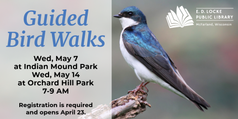 Join Shawn Miller and Heidi Cox on a Guided Bird Walk! The walks will take place on Wednesday, May 7 (at Indian Mound Park) and Wednesday, May 14 (at Orchard Hill Park), from 7-9 AM. Registration is required and will be available starting April 22.