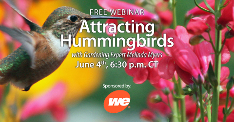Virtual webinar on attracting hummingbirds with Melinda Myers