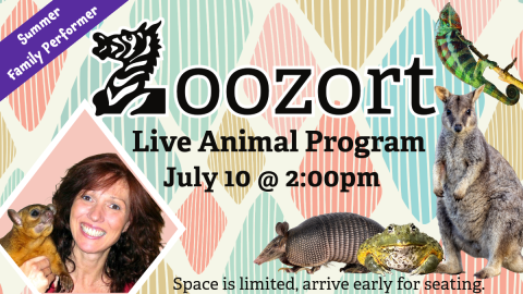 2025 Zoozort